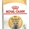 Royal Canin Adult British Shorthair Sucha Karma dla kota op. 400g