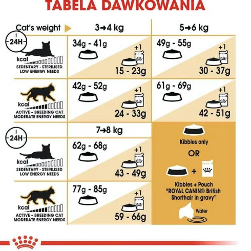 Royal Canin Adult British Shorthair Sucha Karma dla kota op. 4kg