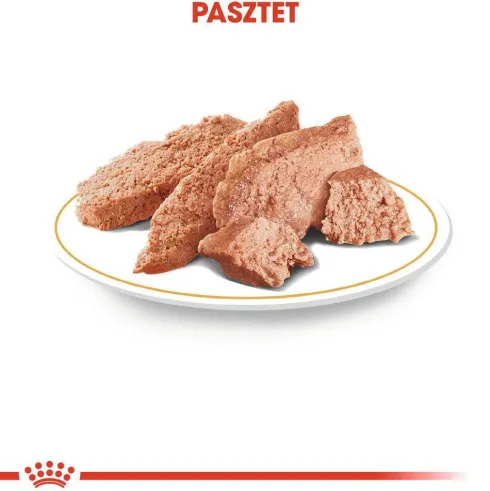 Royal Canin Adult Chihuahua Mokra Karma dla psa op. 85g Pakiet 12szt.