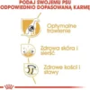 Royal Canin Adult German Shepherd Sucha Karma dla psa op. 11kg