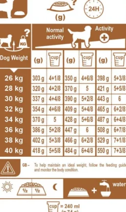 Royal Canin Adult Labrador Retriever Sucha Karma dla psa op. 12kg