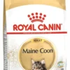 Royal Canin Adult Maine Coon Sucha Karma dla kota op. 10kg