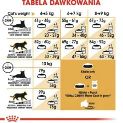 Royal Canin Adult Maine Coon Sucha Karma dla kota op. 2kg