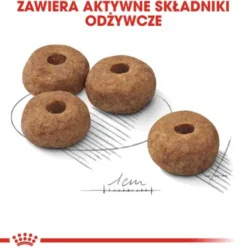 Royal Canin Adult Medium Sterilised Sucha Karma dla psa op. 12kg