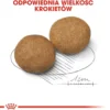 Royal Canin Adult Medium Sucha Karma dla psa op. 15kg