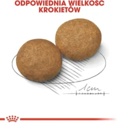 Royal Canin Adult Medium Sucha Karma dla psa op. 15kg