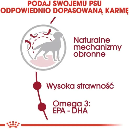 Royal Canin Adult Medium Sucha Karma dla psa op. 15kg