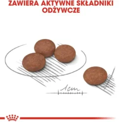 Royal Canin Adult Mini Digestive Care Sucha Karma dla psa op. 3kg