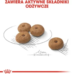 Royal Canin Adult Mini Sterilised Sucha Karma dla psa op. 3kg