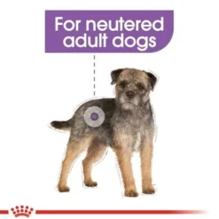 Royal Canin Adult Mini Sterilised Sucha Karma dla psa op. 3kg