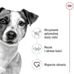 Royal Canin Adult Mini Sucha Karma dla psa op. 4kg