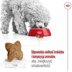 Royal Canin Adult Mini Sucha Karma dla psa op. 4kg