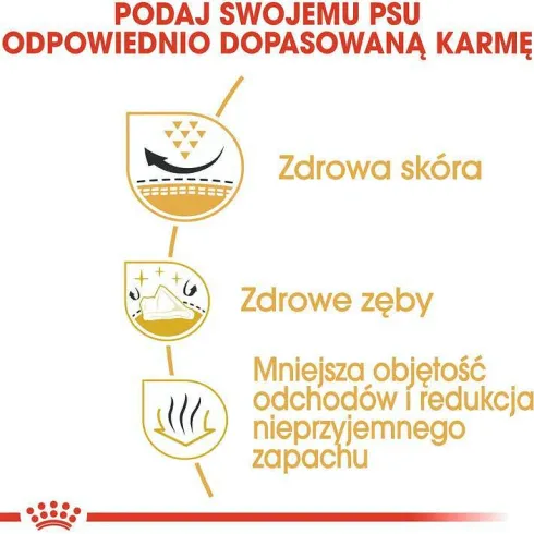Royal Canin Adult Shih Tzu Sucha Karma dla psa op. 7.5kg WYPRZEDAŻ