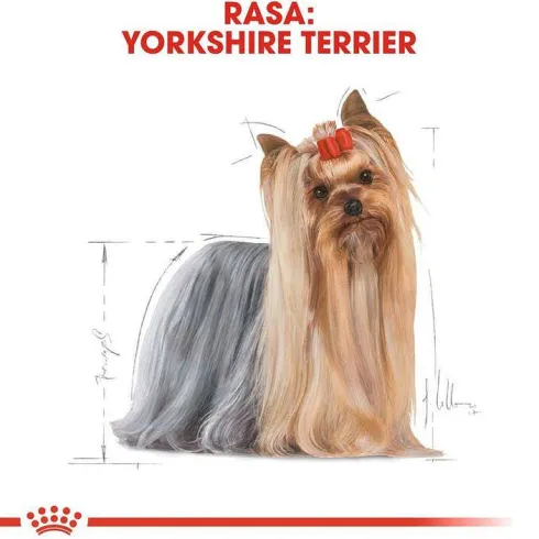 Royal Canin Adult Yorkshire Terrier Sucha Karma dla psa op. 1.5kg