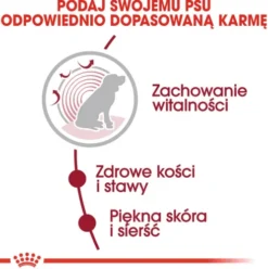 Royal Canin Ageing 10+ Medium Sucha Karma dla psa op. 15kg WYPRZEDAŻ