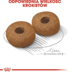 Royal Canin Ageing 10+ Medium Sucha Karma dla psa op. 15kg WYPRZEDAŻ