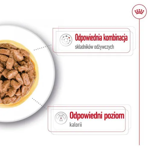 Royal Canin Ageing Mini Mokra Karma dla psa op. 85g Pakiet 12szt.