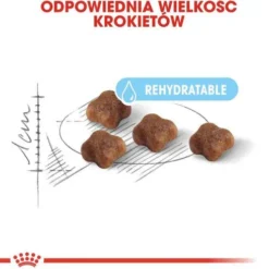 Royal Canin BabyCat Sucha Karma dla kociąt op. 400g