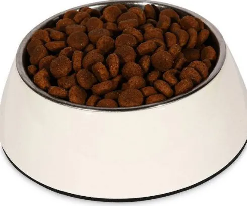 Royal Canin Expert Adult Large Sucha Karma dla psa op. 13kg