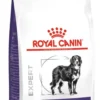 Royal Canin Expert Adult Large Sucha Karma dla psa op. 2x13kg MEGA-PAK