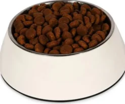Royal Canin Expert Adult Large Sucha Karma dla psa op. 2x13kg MEGA-PAK