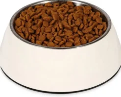 Royal Canin Expert DOG Adult Small Dog Sucha Karma dla psa op. 4kg