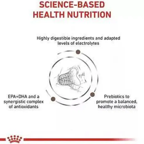 Royal Canin Expert Gastro Intestinal FIBRE Sucha Karma dla kota op. 2kg