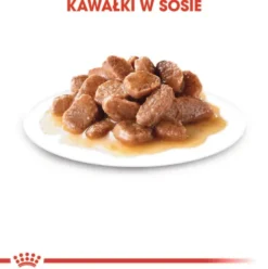 Royal Canin Hairball Care w sosie Mokra Karma dla kota op. 85g Pakiet 12szt.