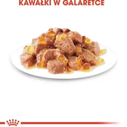 Royal Canin Instinctive w galaretce Mokra Karma dla kota op. 85g Pakiet 12szt.