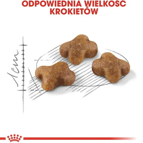 Royal Canin Kitten Sucha Karma dla kociąt op. 2kg