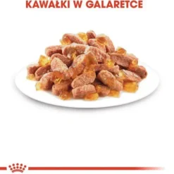 Royal Canin Kitten w galaretce Mokra Karma dla kociąt op. 85g Pakiet 12szt.