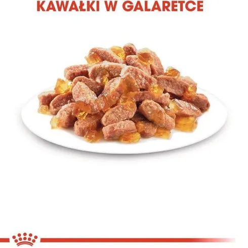 Royal Canin Kitten w galaretce Mokra Karma dla kociąt op. 85g Pakiet 12szt.
