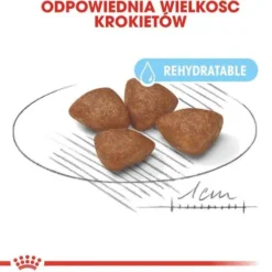 Royal Canin Mini Starter Karma dla szczeniaka op. 1kg