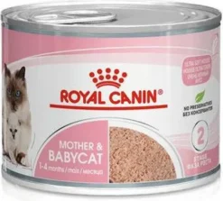 Royal Canin Mother&Babycat Mousse Mokra Karma dla kociąt op. 195g Pakiet 12szt.