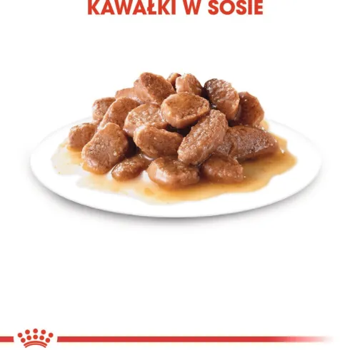 Royal Canin Urinary Care w sosie Mokra Karma dla kota op. 85g Pakiet 12szt.