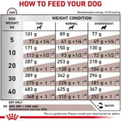Royal Canin Vet Gastro Intestinal Sucha Karma dla psa op. 2kg