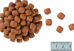Royal Canin Vet Gastro Intestinal Hairball Sucha Karma dla kota op. 2kg