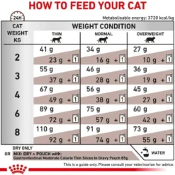 Royal Canin Vet Gastro Intestinal Moderate Calorie Sucha Karma dla kota op. 4kg