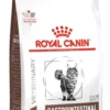 Royal Canin Vet Gastro Intestinal Sucha Karma dla kota op. 2kg