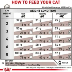 Royal Canin Vet Gastro Intestinal Sucha Karma dla kota op. 4kg
