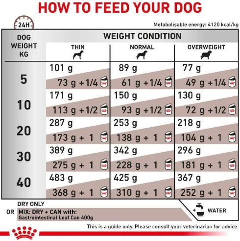 Royal Canin Vet Gastro Intestinal Sucha Karma dla psa op. 2x15kg MEGA-PAK