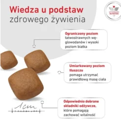 Royal Canin Vet Glycobalance Sucha Karma dla psa op. 12kg