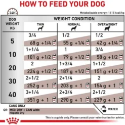 Royal Canin Vet Hepatic Mokra Karma dla psa op. 420g Pakiet 12szt.