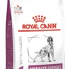 Royal Canin Vet Mobility Support Sucha Karma dla psa op. 12kg