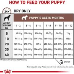 Royal Canin Vet Puppy Gastro Intestinal Sucha Karma dla szczeniaka op. 2.5kg