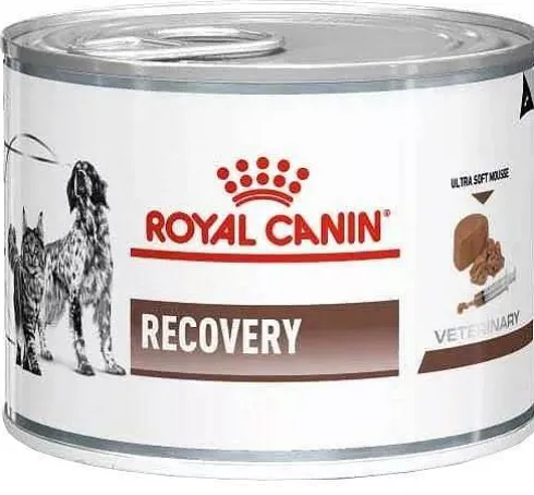 Royal Canin Vet Recovery Mokra Karma dla psa i kota op. 195g Pakiet 12szt.