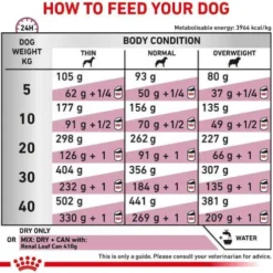 Royal Canin Vet Renal Select Sucha Karma dla psa op. 2x10kg MEGA-PAK