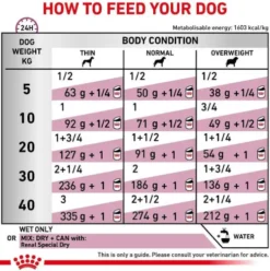 Royal Canin Vet Renal Special Sucha Karma dla psa op. 2x10kg MEGA-PAK