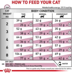 Royal Canin Vet Renal Special Sucha Karma dla kota op. 2kg