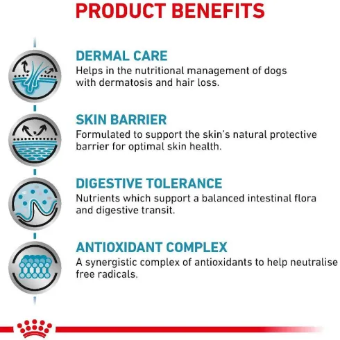 Royal Canin Vet Skin Care Sucha Karma dla psa op. 2x11kg MEGA-PAK